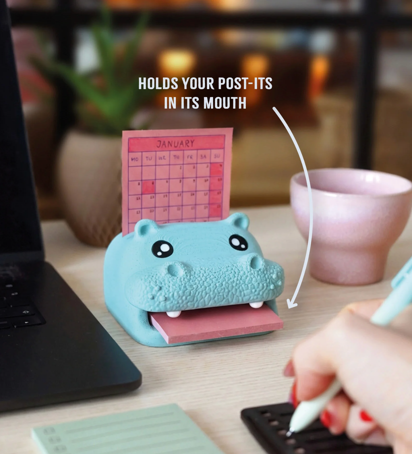 Hippo Campus Note Organizer